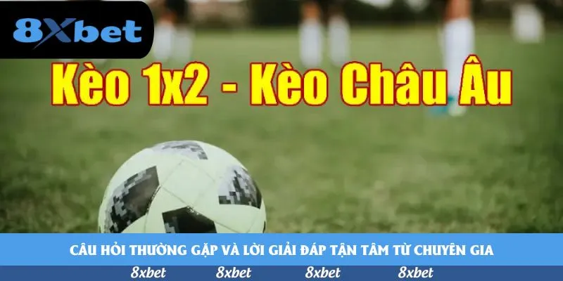 Câu hỏi thường gặp và lời giải đáp tận tâm từ chuyên gia